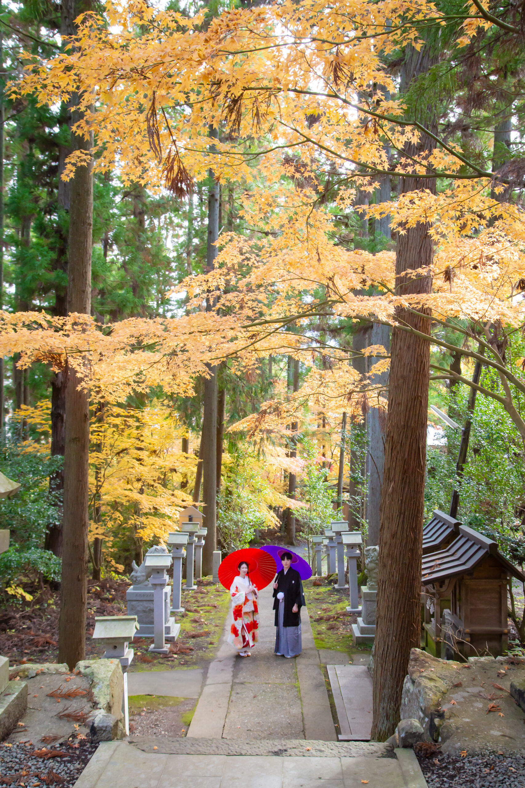 皆神神社 参道の階段